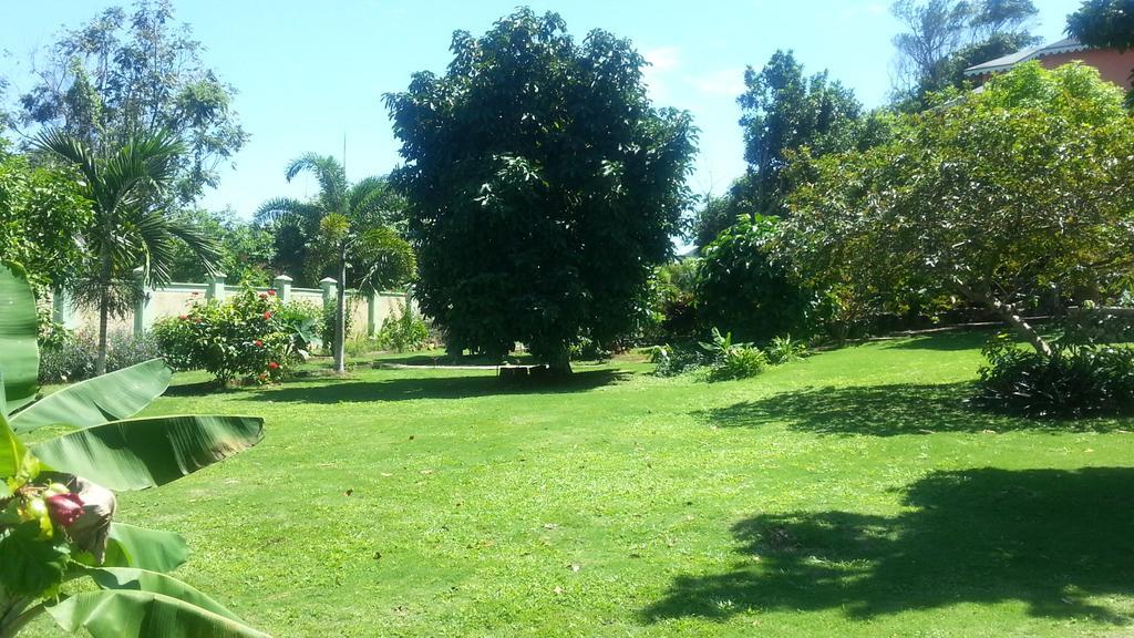Pimento Lodge Resort بورت أنطونيو المظهر الخارجي الصورة