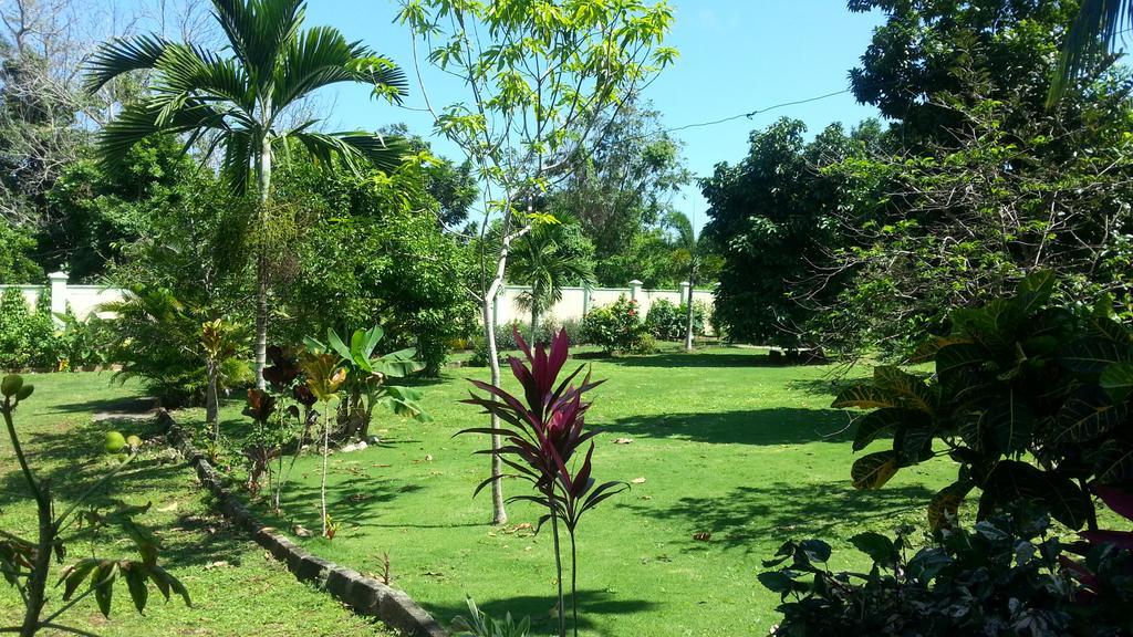 Pimento Lodge Resort بورت أنطونيو المظهر الخارجي الصورة