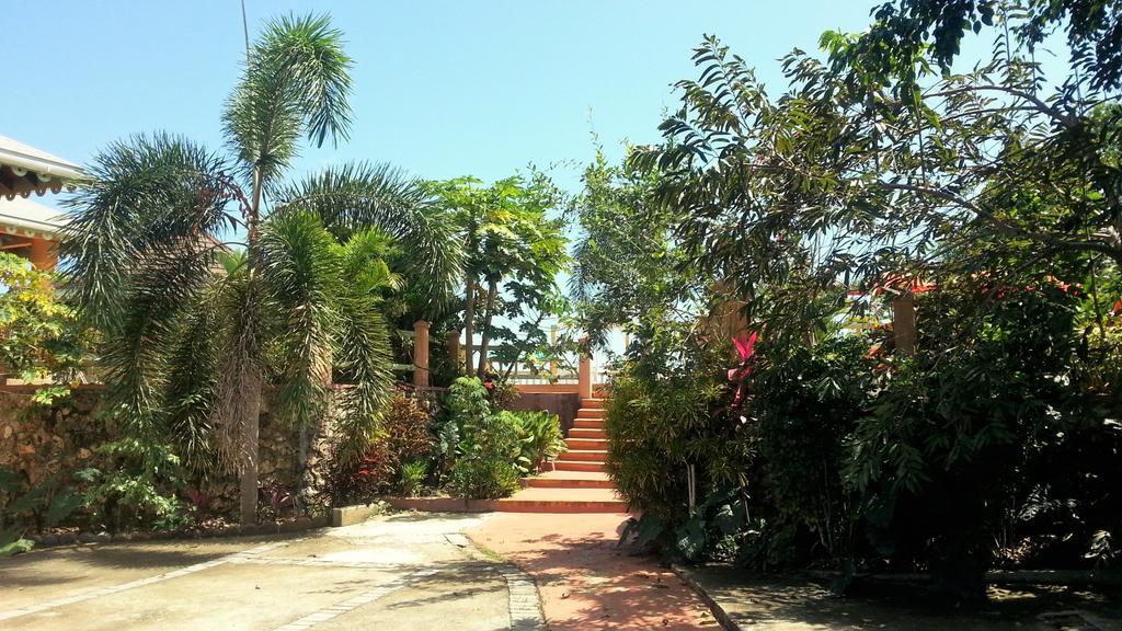 Pimento Lodge Resort بورت أنطونيو المظهر الخارجي الصورة